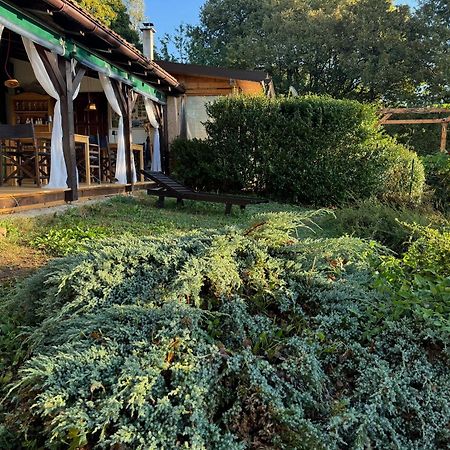 Guest House Lagotto'S Peak Radatovici Exteriér fotografie