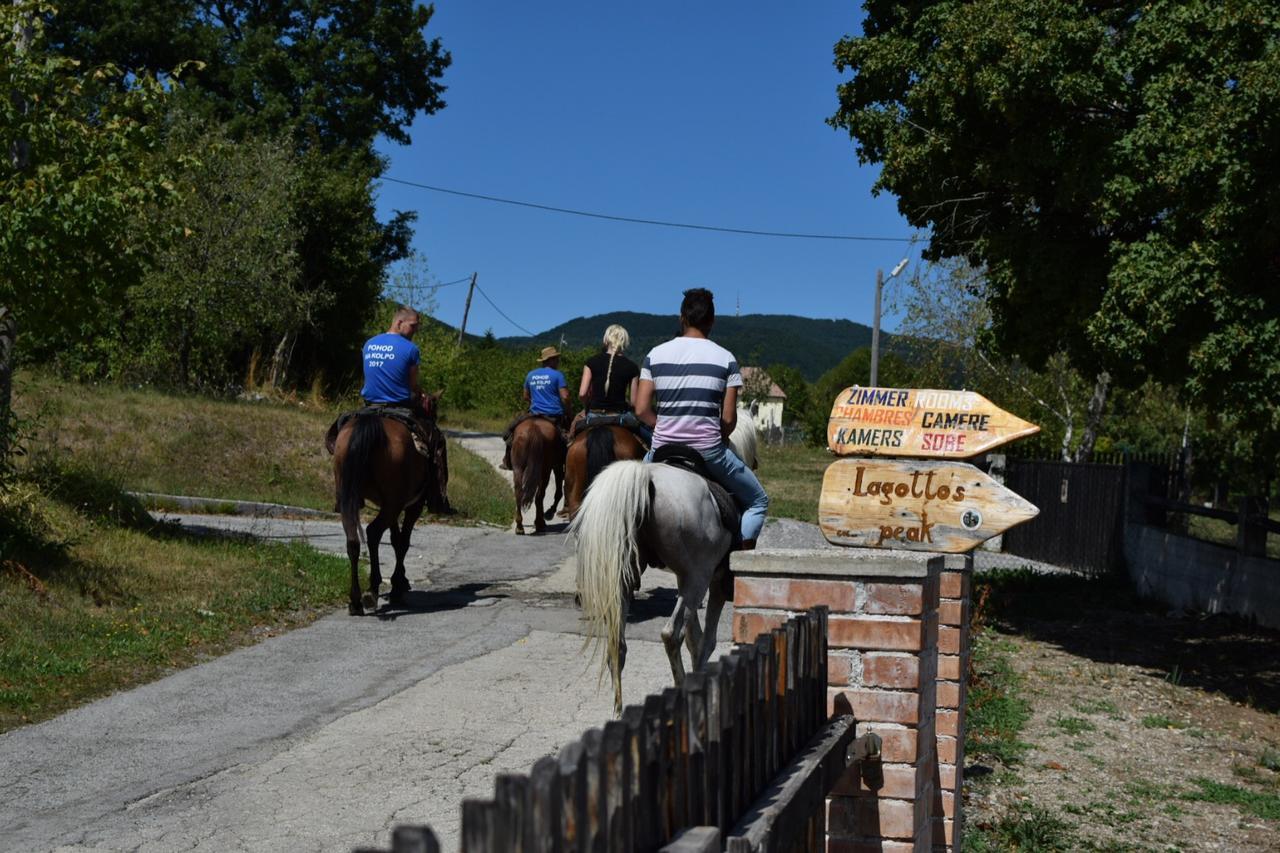 Guest House Lagotto'S Peak Radatovici Exteriér fotografie